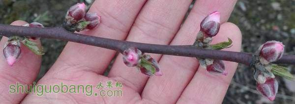 IMG_20160312_185036.jpg