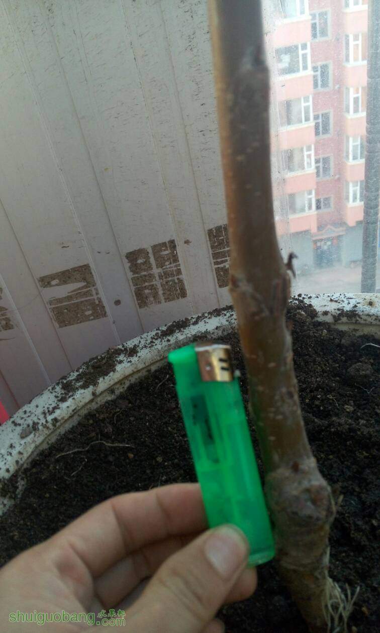 062652uy6uxp9let7jetn2.jpg
