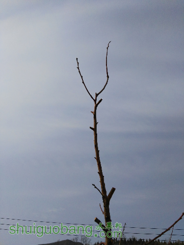 IMG_20160312_151015.jpg