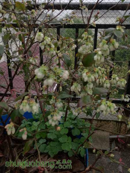 IMG_20160313_071745.jpg