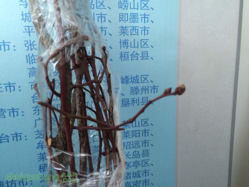 101825otdect2td6dmcydh.jpg