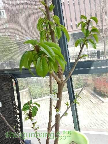20160316_132447.jpg