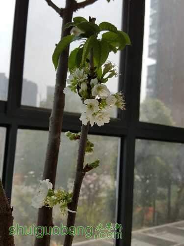20160316_132400.jpg