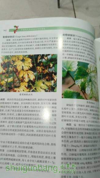psb (20).jpg