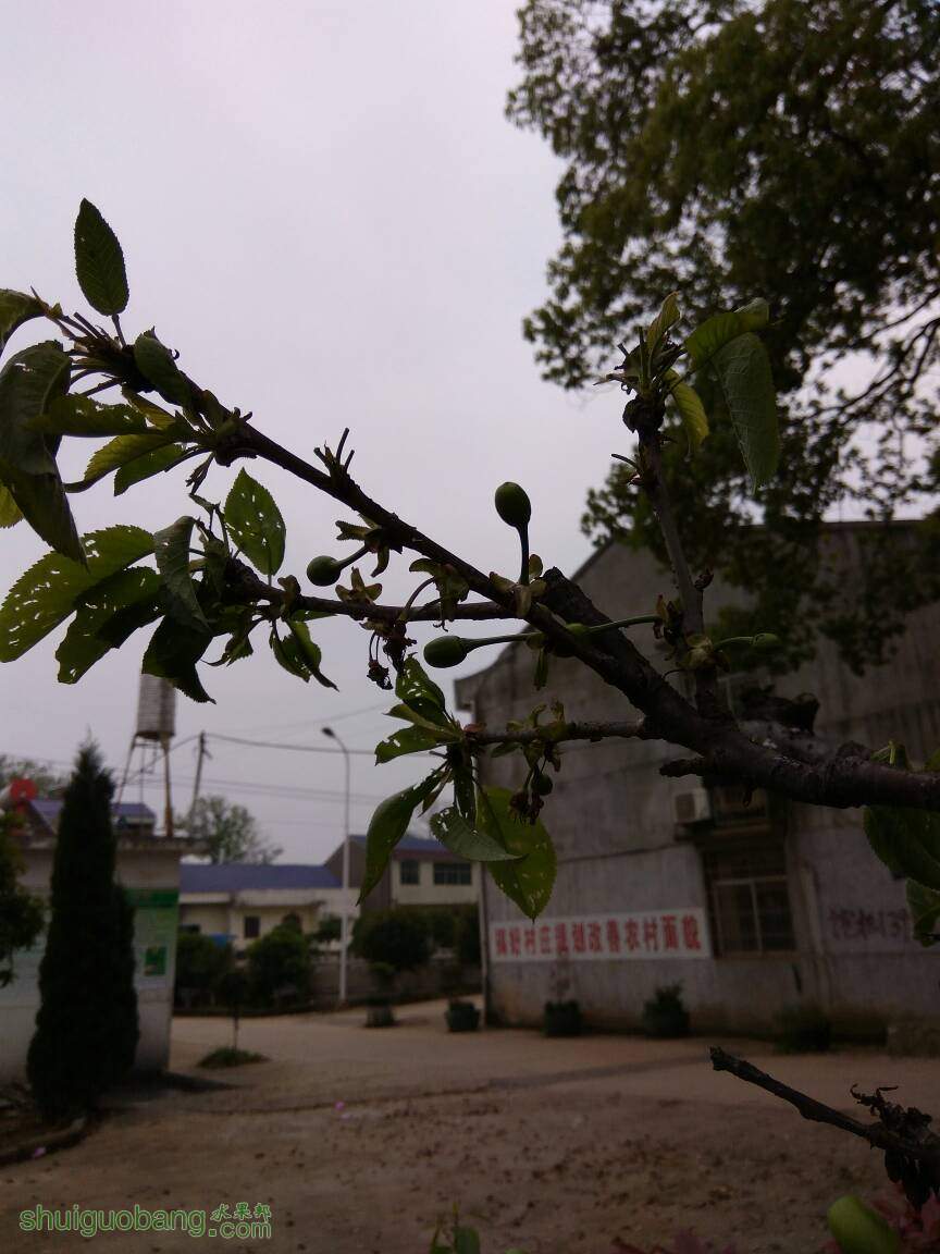 125323bozqaqwqwdzdhdgo.jpg