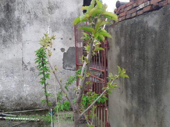 20160407_144130.jpg