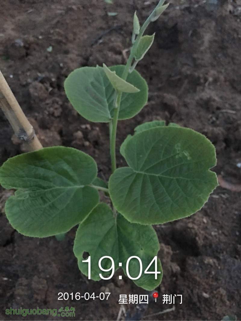 173940qz6zkji6joip6g6r.jpg