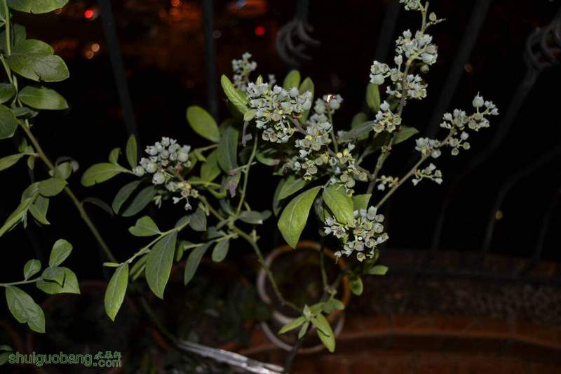 230944czz21px41p92fcxm.JPG