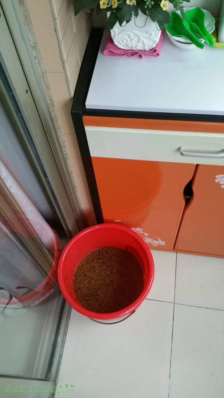 174328k0k1100xu1okknt0.jpg