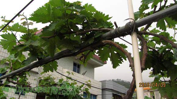 õ廨 047.jpg