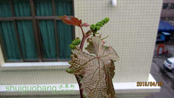 ǧ뻨 041.jpg
