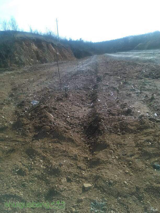 233027hhaupze0iparu2rf.jpg