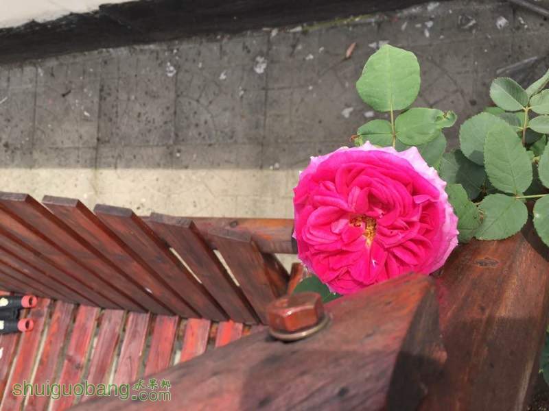 065849y2v2eql0u9aveuwr.jpg
