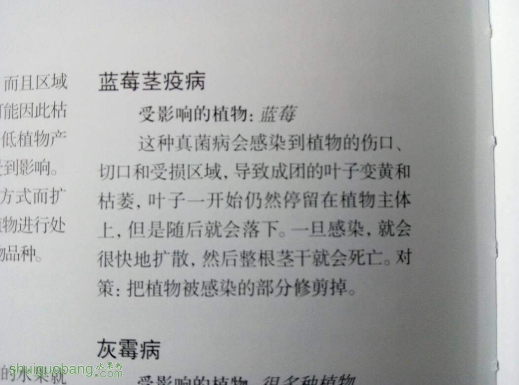 121403ceffho9lhh99lnnh.jpg
