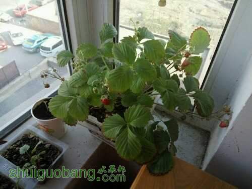 UC_Photo_002.jpg