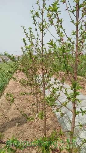 IMG20160409140107.jpg