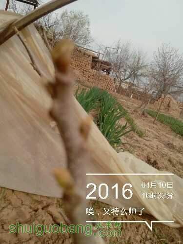 IMG_20160410_163334.jpg