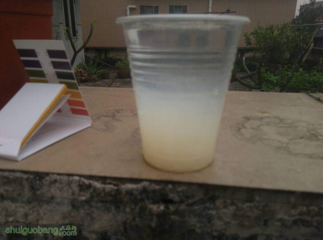 083511sx8mngqkpgpp2qkl.jpg