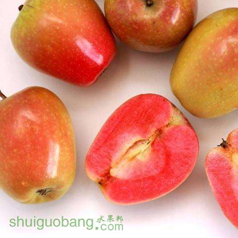 Mt. Rose Apple
