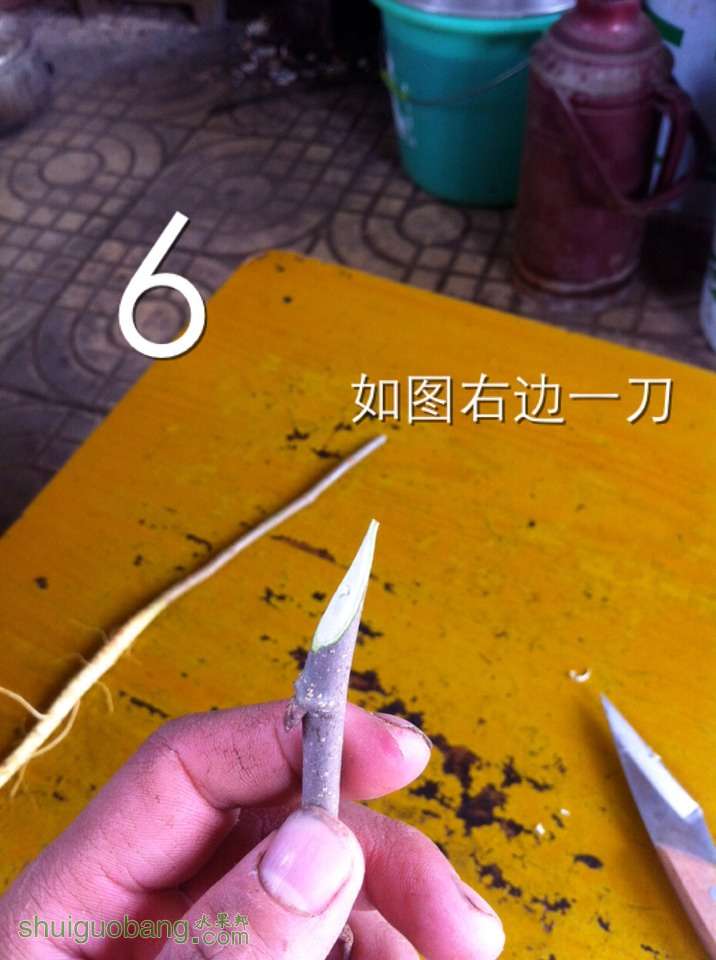 122924m4c4a8z4vc88vxyl.jpg
