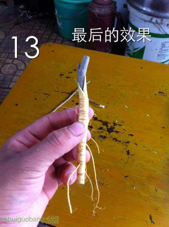 123024omch8wq3s8rs4j2h.jpg