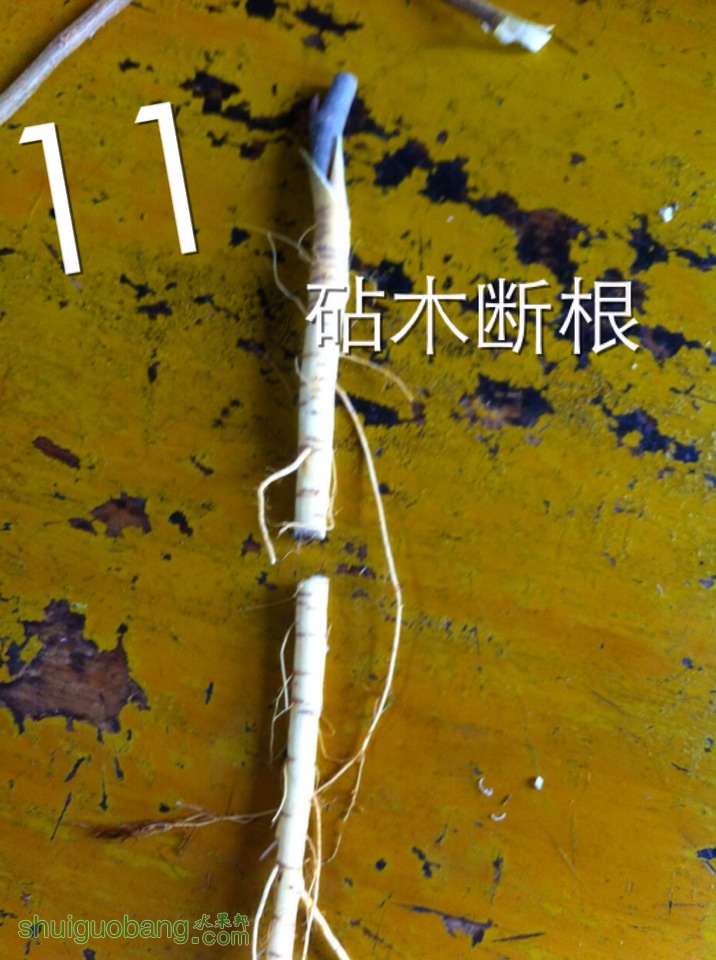 123024qqiy9tjj1tz4970t.jpg