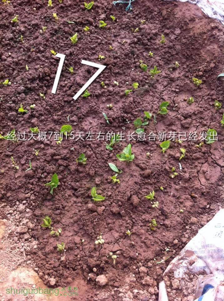 123052fi94dllkz3x0fdkh.jpg