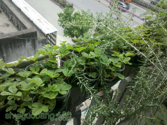 IMG_20140718_133629.jpg