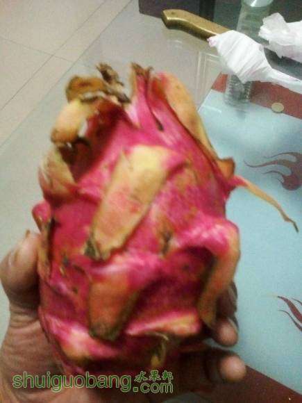 ������ 20Ԫ