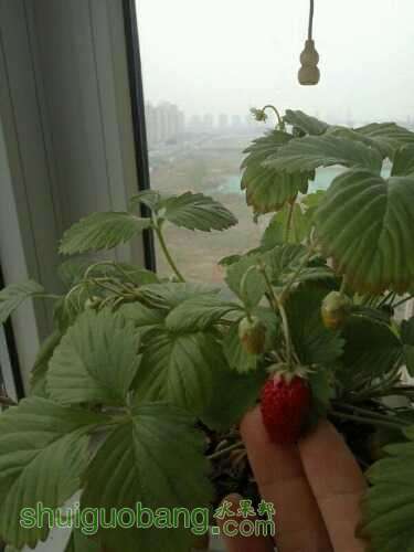 UC_Photo_003.jpg