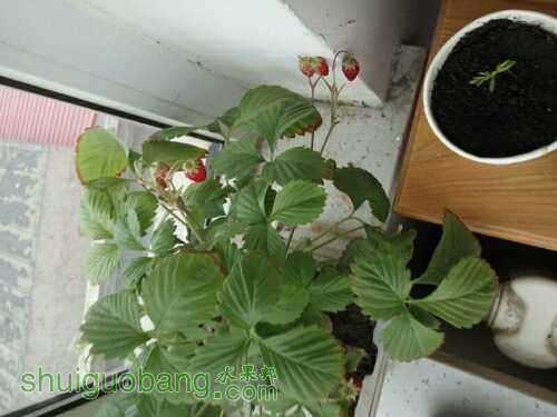 UC_Photo_004.jpg