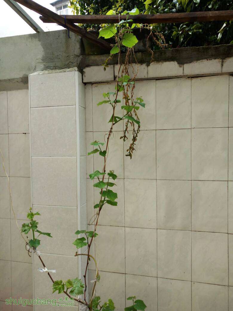 130244r12hh2jjhjea266h.jpg