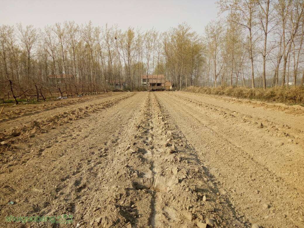 190809ln2pma05ymlpzdzq.jpg