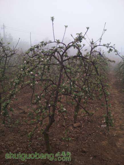 ���������ô��