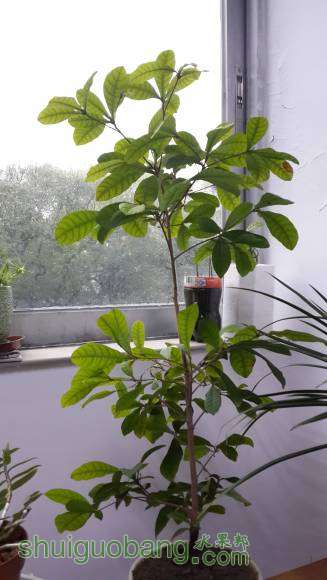 20160323_093543.jpg