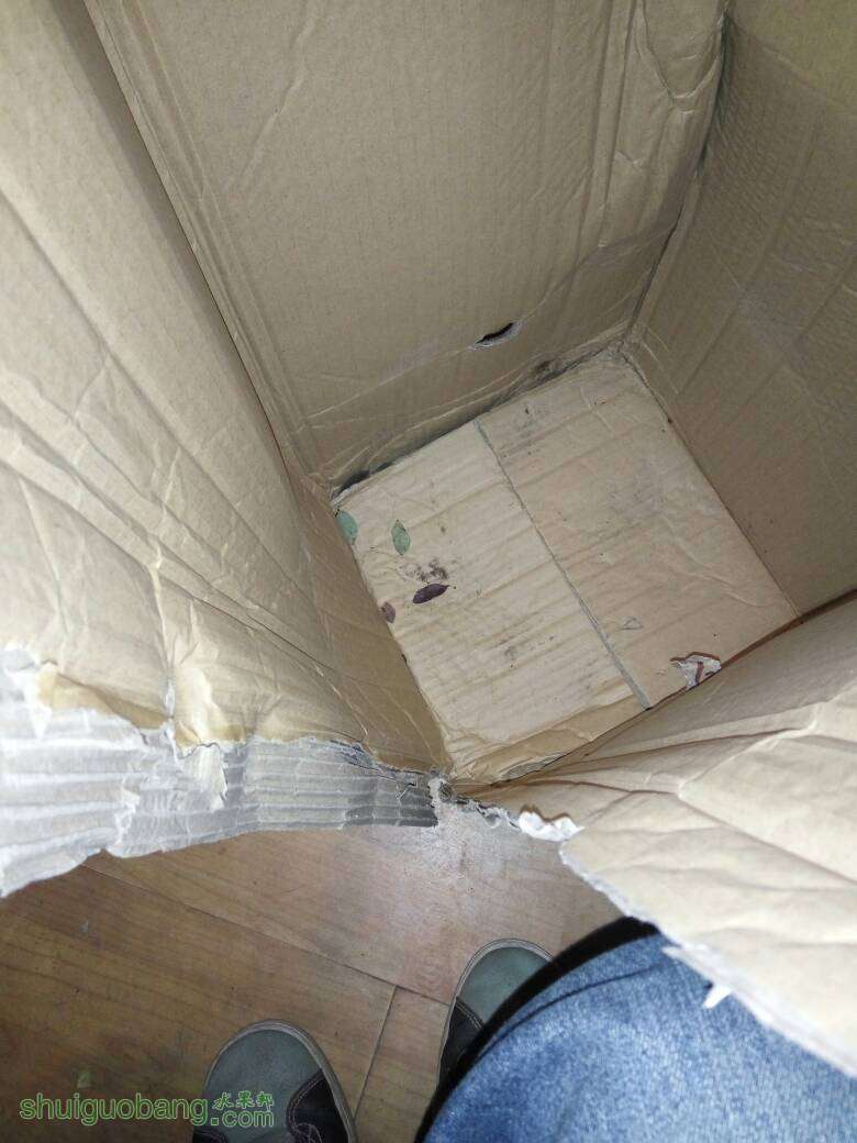 220351n27ntp4h0tv402z8.jpg