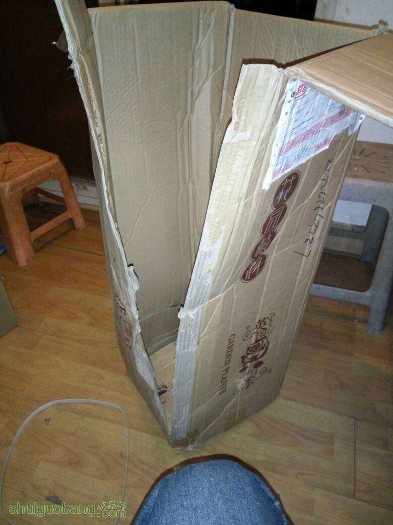 220351wt66g9x9xgjtso99.jpg