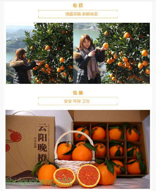 120333lpcgv41hw11148vh.png