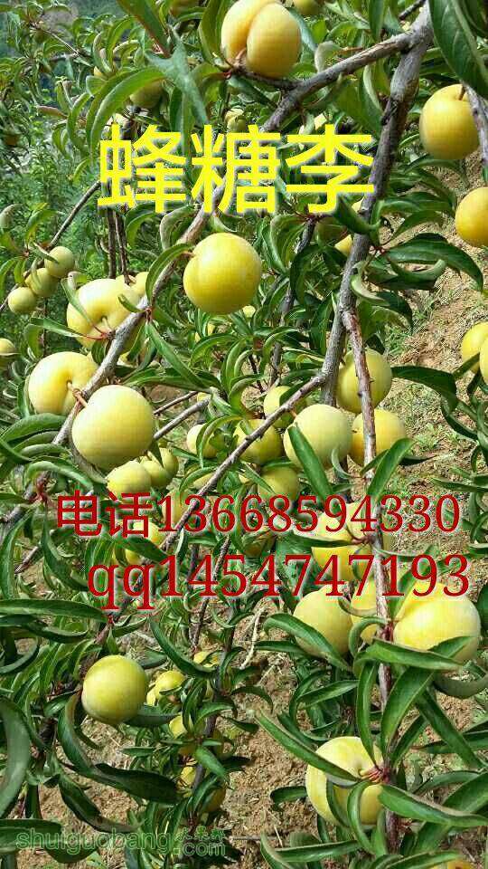 190804g94vfh11qq7781h9.jpeg