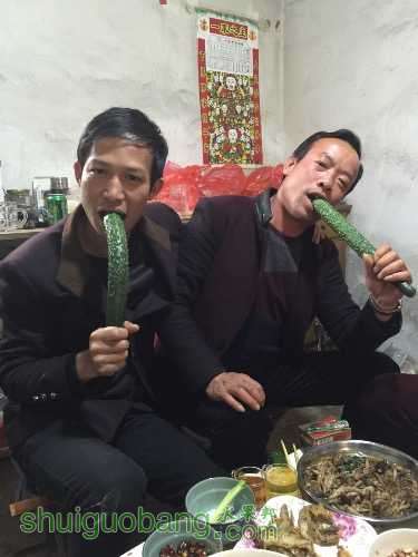 image.jpeg