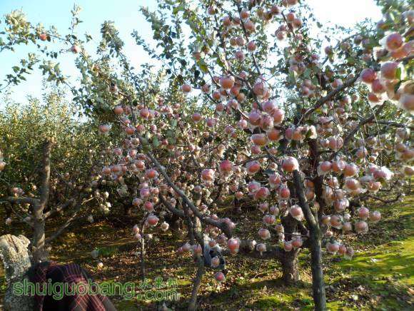 ��ʱ������