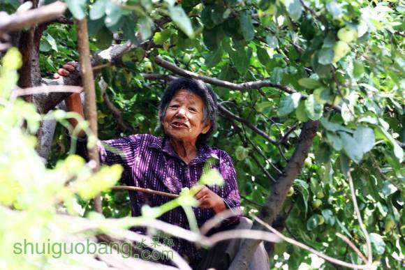 ���������ĸ��������ô��