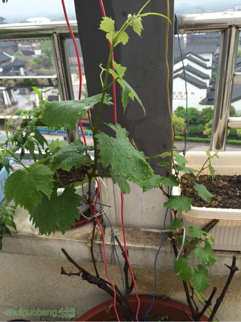 090905f9n6rrpr68mip9b8.jpg