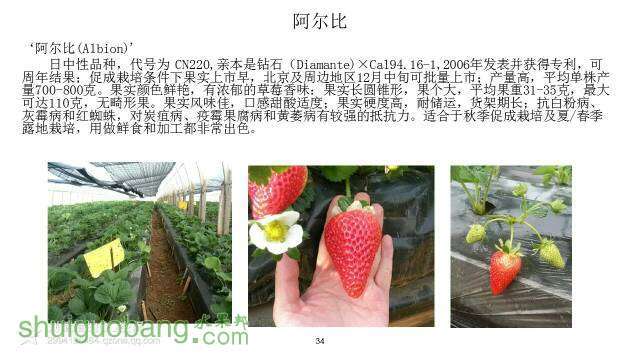 174359cv1ues7w1pebweem.jpeg