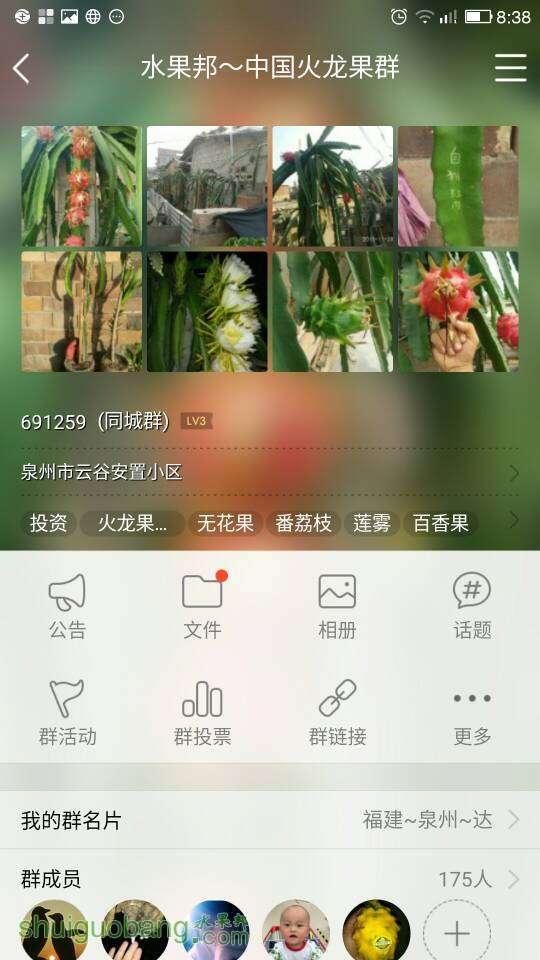 204229mgq613mp37263g3p.jpg