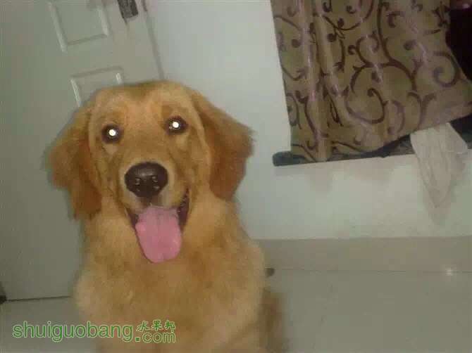 220812lupkkrra67aujw79.jpg