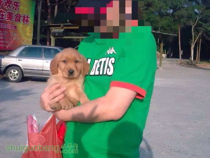 220812qhbkda1fa5aaqmxs.jpg
