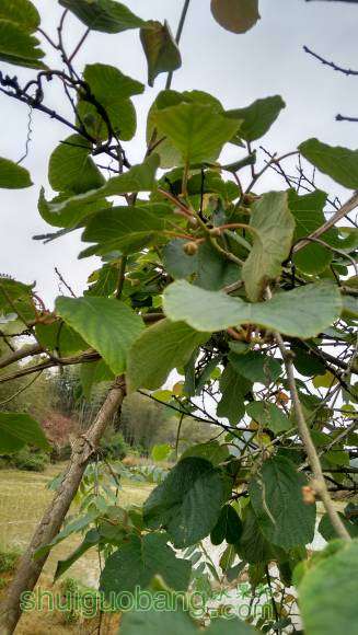 �л����ˣ���֪���ܽ��ô��