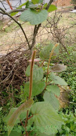 ����û����