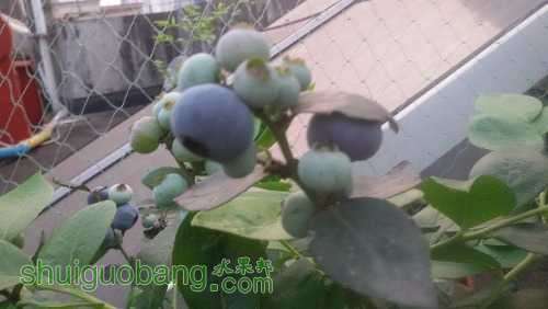 20160416_184415.jpg